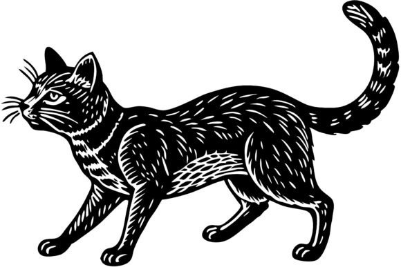 Black Cat Walking with Tail Raised Review