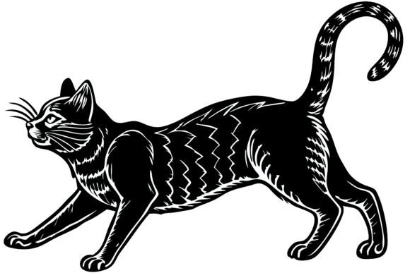 Black Cat Walking with Tail Up Review