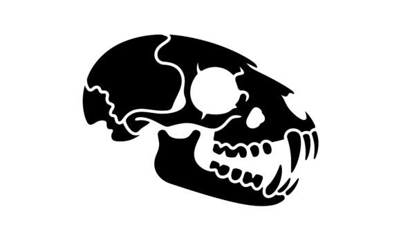 Silhouette Illustration of a Cat Skull Review