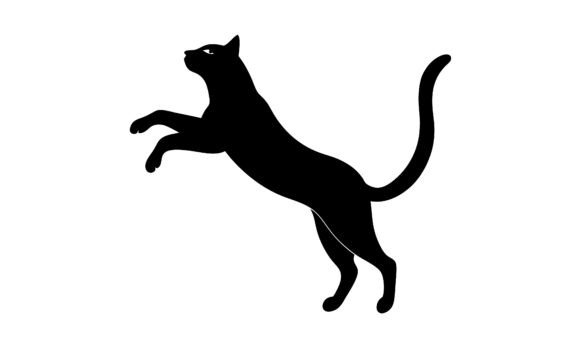 Silhouette of a Black Jumping Cat: A Designer's Real-World Review
