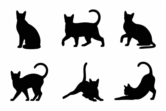 Silhouette Poses of a Cat Breed Review